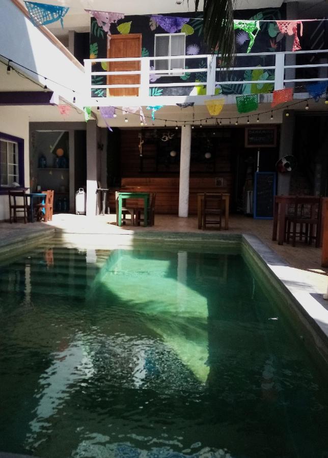 Les Trois Singes - Friendly Hostel Isla Mujeres Luaran gambar